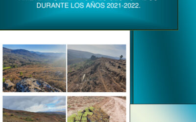 Informe repoblaciones 2021-2022