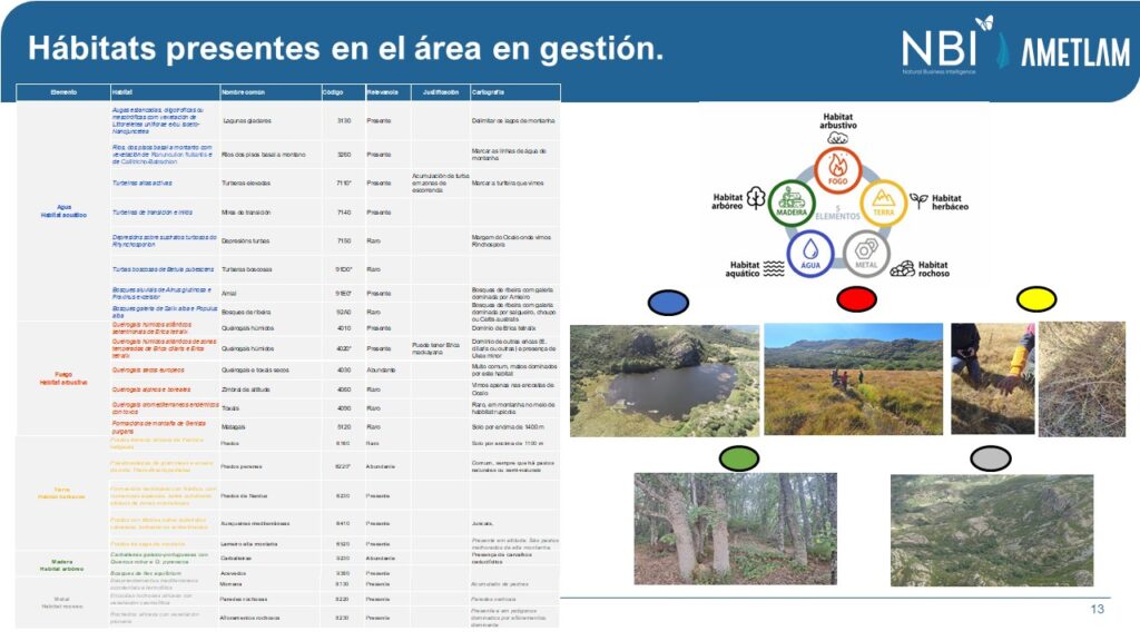 CERTIFICACIÓN SERVICIOS ECOSISTÉMICOS